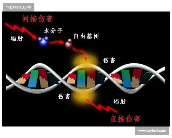 辐射伤害检查方法解析 辐射伤害检查方法解析